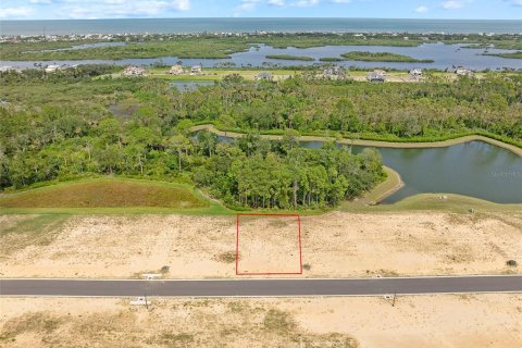 Land in Flagler Beach, Florida № 1913846 - photo 23
