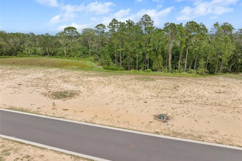 Land in Flagler Beach, Florida № 1913846 - photo 7