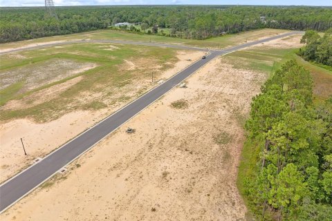 Land in Flagler Beach, Florida № 1913846 - photo 18