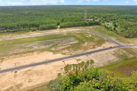 Land in Flagler Beach, Florida № 1913846 - photo 29