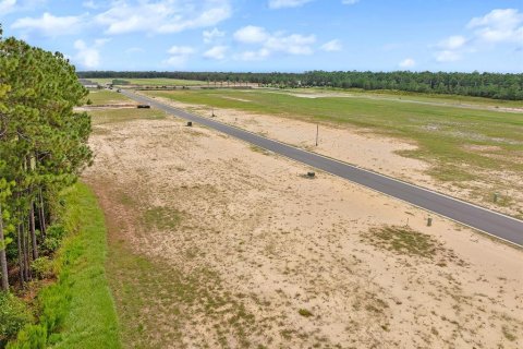 Land in Flagler Beach, Florida № 1913846 - photo 16