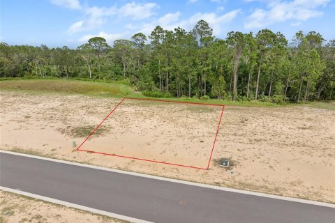 Land in Flagler Beach, Florida № 1913846 - photo 6