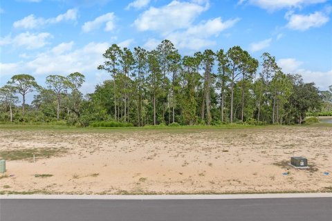 Land in Flagler Beach, Florida № 1913846 - photo 4