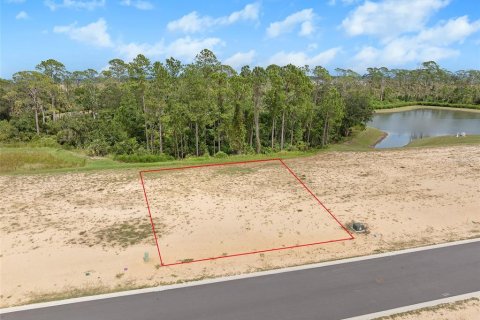 Land in Flagler Beach, Florida № 1913846 - photo 3
