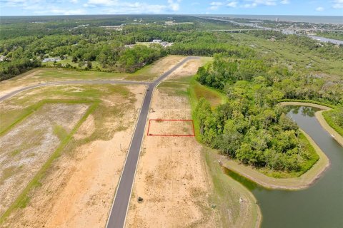 Land in Flagler Beach, Florida № 1913846 - photo 27