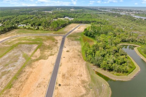 Land in Flagler Beach, Florida № 1913846 - photo 28