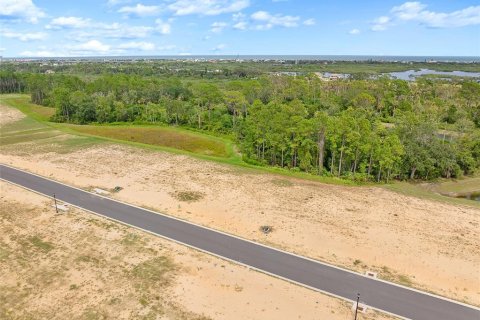 Land in Flagler Beach, Florida № 1913846 - photo 19