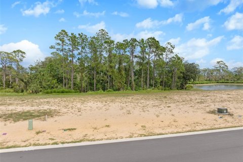 Land in Flagler Beach, Florida № 1913846 - photo 5