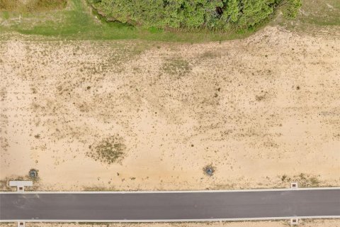 Land in Flagler Beach, Florida № 1913846 - photo 9
