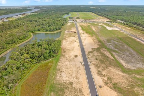 Land in Flagler Beach, Florida № 1913846 - photo 10