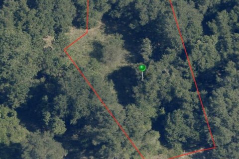 Land in Citrus Springs, Florida № 2223959 - photo 2