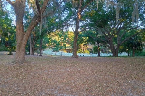 House in Lady Lake, Florida 4 bedrooms, 220.27 sq.m. № 2398704 - photo 16