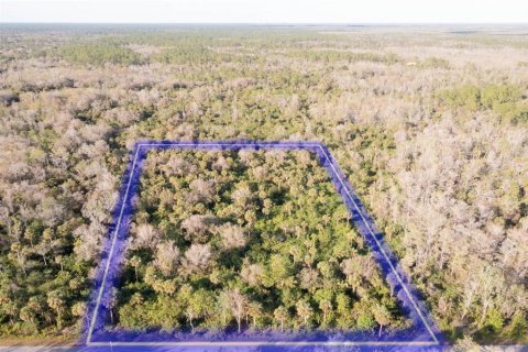 Terrain à vendre à Naples, Floride № 1526303 - photo 5