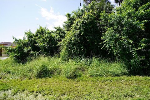Land in Port Charlotte, Florida № 2166240 - photo 2