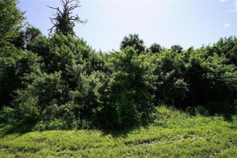 Land in Port Charlotte, Florida № 2166240 - photo 3