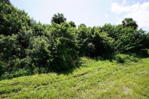 Land in Port Charlotte, Florida № 2166240