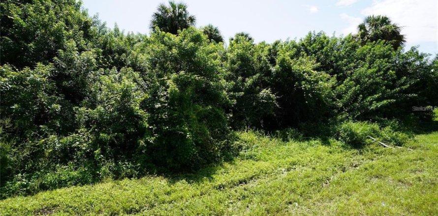 Land in Port Charlotte, Florida № 2166240