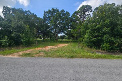 Terreno en Lorida, Florida № 2237746