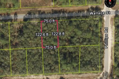 Land in Interlachen, Florida № 2160170 - photo 8