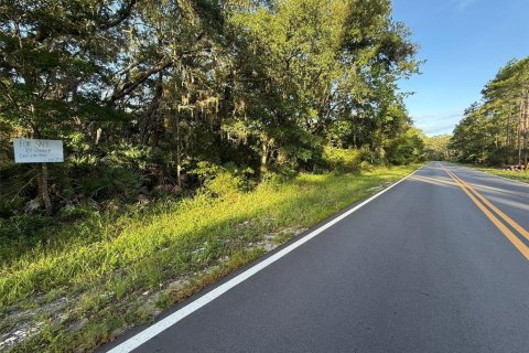 Land in Interlachen, Florida № 2160170