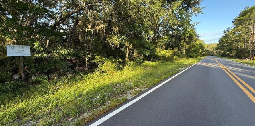 Land in Interlachen, Florida № 2160170