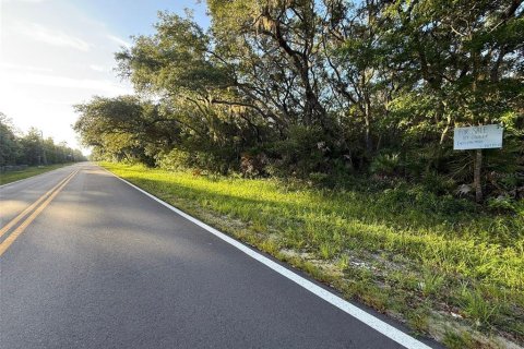 Land in Interlachen, Florida № 2160170 - photo 5