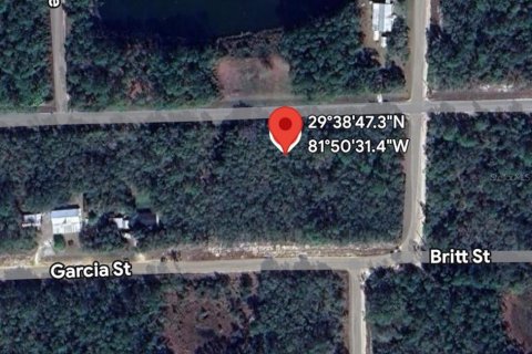 Land in Interlachen, Florida № 2160170 - photo 7