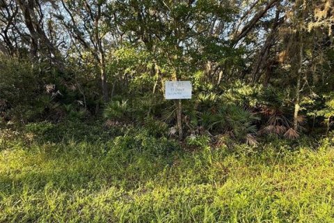 Land in Interlachen, Florida № 2160170 - photo 3