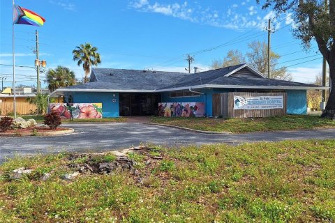 Commercial property in Saint Petersburg, Florida 244.15 sq.m. № 1631905 - photo 10