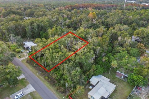 Land in Crystal River, Florida № 2161841 - photo 5
