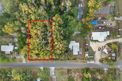 Land in Crystal River, Florida № 2161841 - photo 17