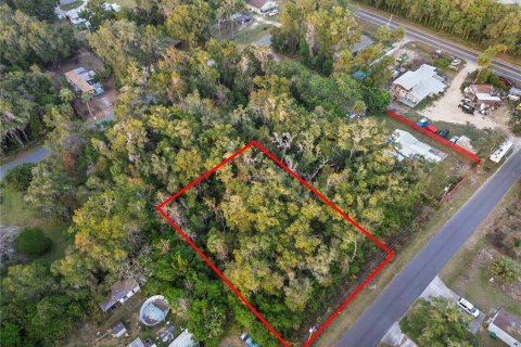 Land in Crystal River, Florida № 2161841 - photo 10