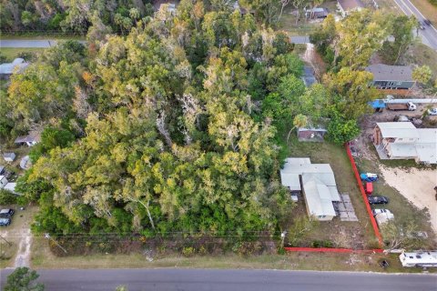 Land in Crystal River, Florida № 2161841 - photo 9
