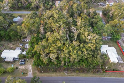 Land in Crystal River, Florida № 2161841 - photo 8