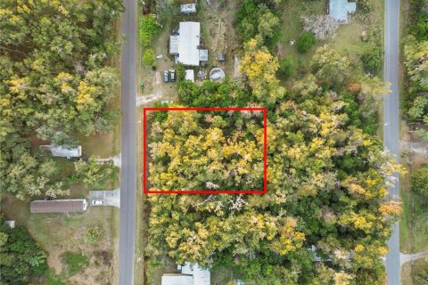 Land in Crystal River, Florida № 2161841 - photo 14