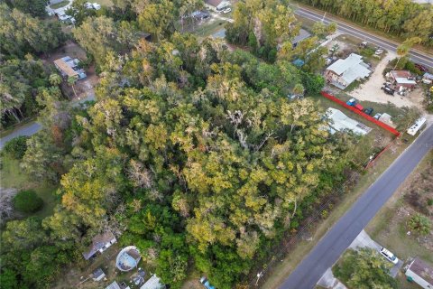 Land in Crystal River, Florida № 2161841 - photo 11