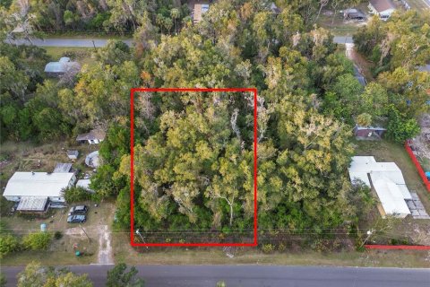 Land in Crystal River, Florida № 2161841 - photo 7
