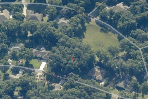 Terrain à Dunnellon, Floride № 2203105
