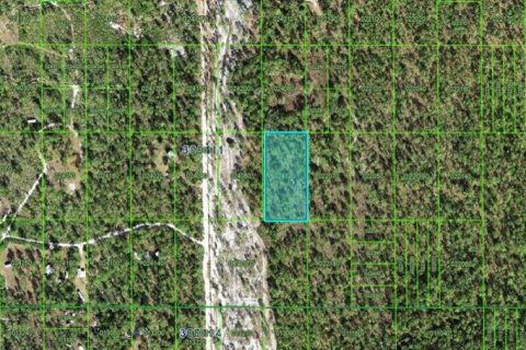 Terreno en venta en Lake Wales, Florida № 2164022 - foto 2