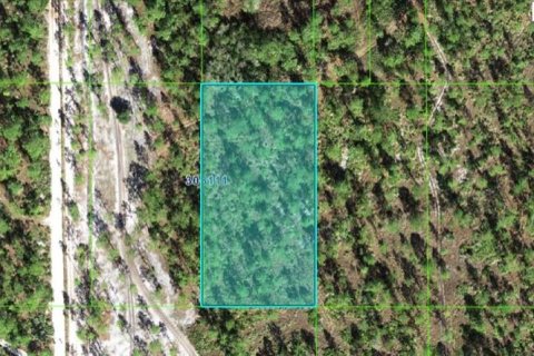 Terreno en Lake Wales, Florida № 2164022