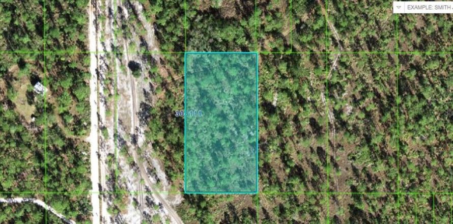 Terreno en Lake Wales, Florida № 2164022