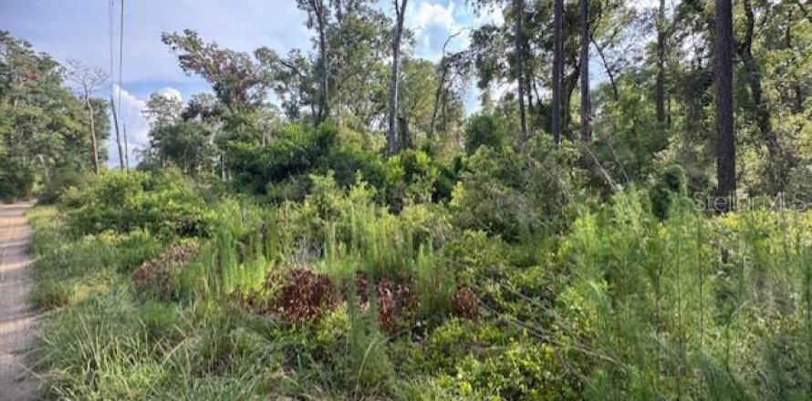 Land in Webster, Florida № 1760318