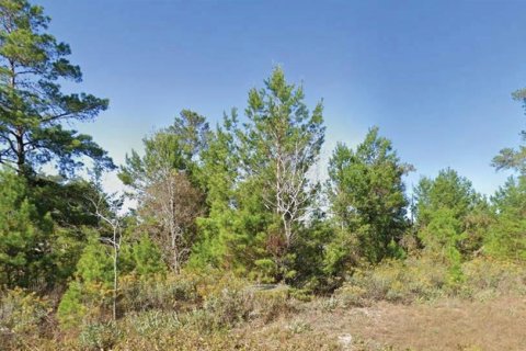 Land in Chipley, Florida № 2162864
