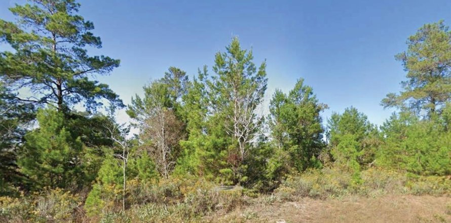 Land in Chipley, Florida № 2162864