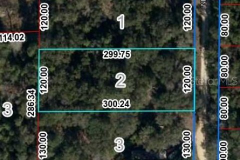 Land in Bronson, Florida № 2159536