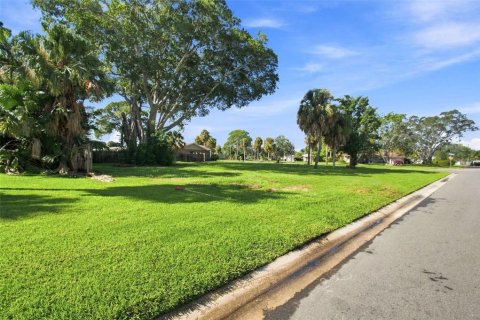 Villa ou maison à vendre à Saint Petersburg, Floride: 3 chambres, 234.95 m2 № 2413945 - photo 8
