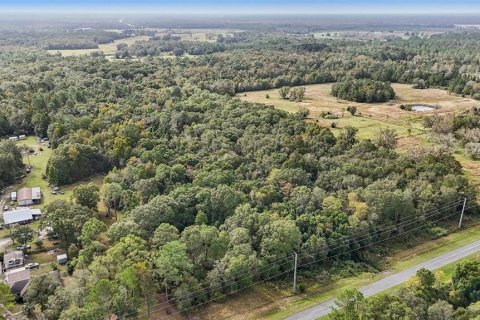 Land in Starke, Florida № 2128483 - photo 4