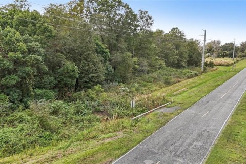 Land in Starke, Florida № 2128483 - photo 10