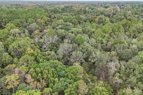 Land in Starke, Florida № 2128483 - photo 8