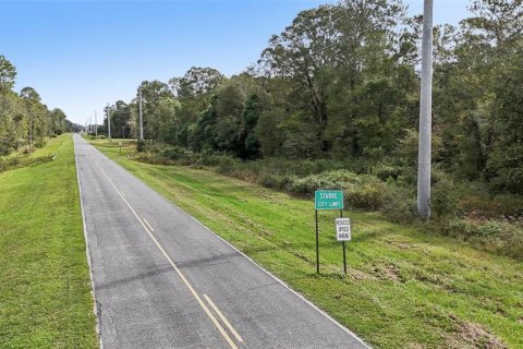 Land in Starke, Florida № 2128483 - photo 2